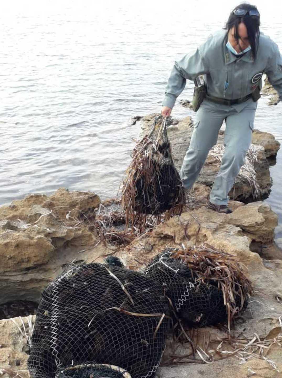 Pescatori abusivi di ricci in trappola 