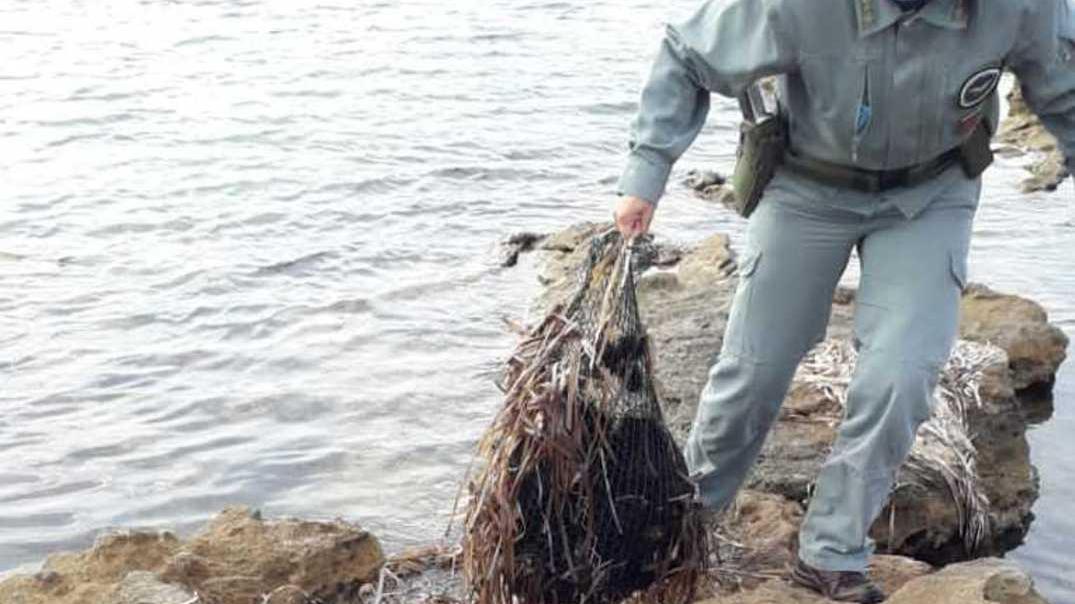 Pescatori abusivi di ricci in trappola 