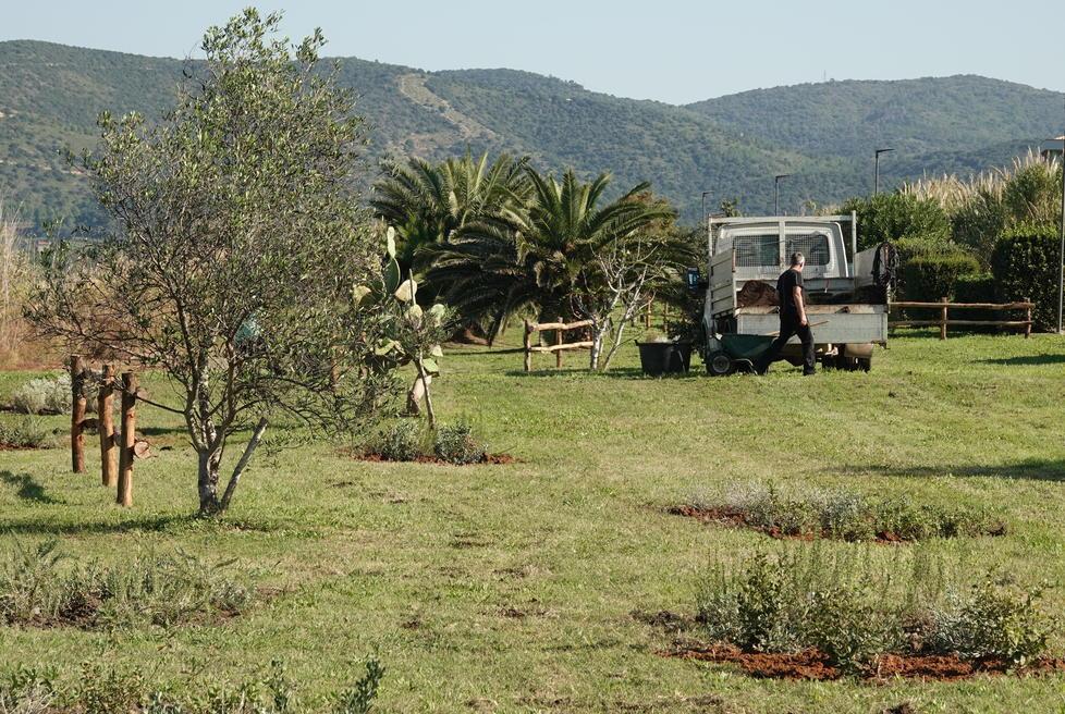 Aria inquinata: piano per piantare 2.000 alberi ad Altopascio 