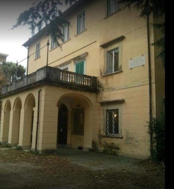 Consigli di cinema e tv e supporto ai ragazzi per i compiti scolastici