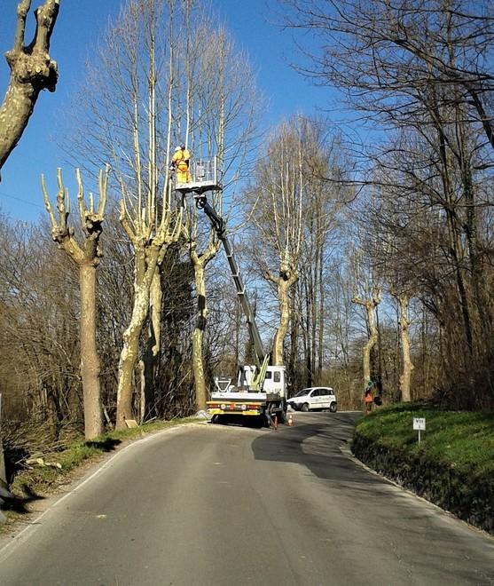 Caos sui trasferimenti in Comune «Nessun caso politico sul mio lavoro»