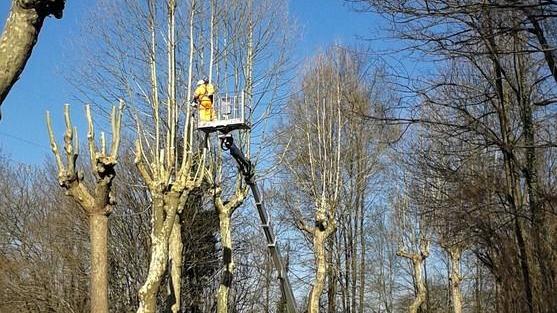 Caos sui trasferimenti in Comune «Nessun caso politico sul mio lavoro»