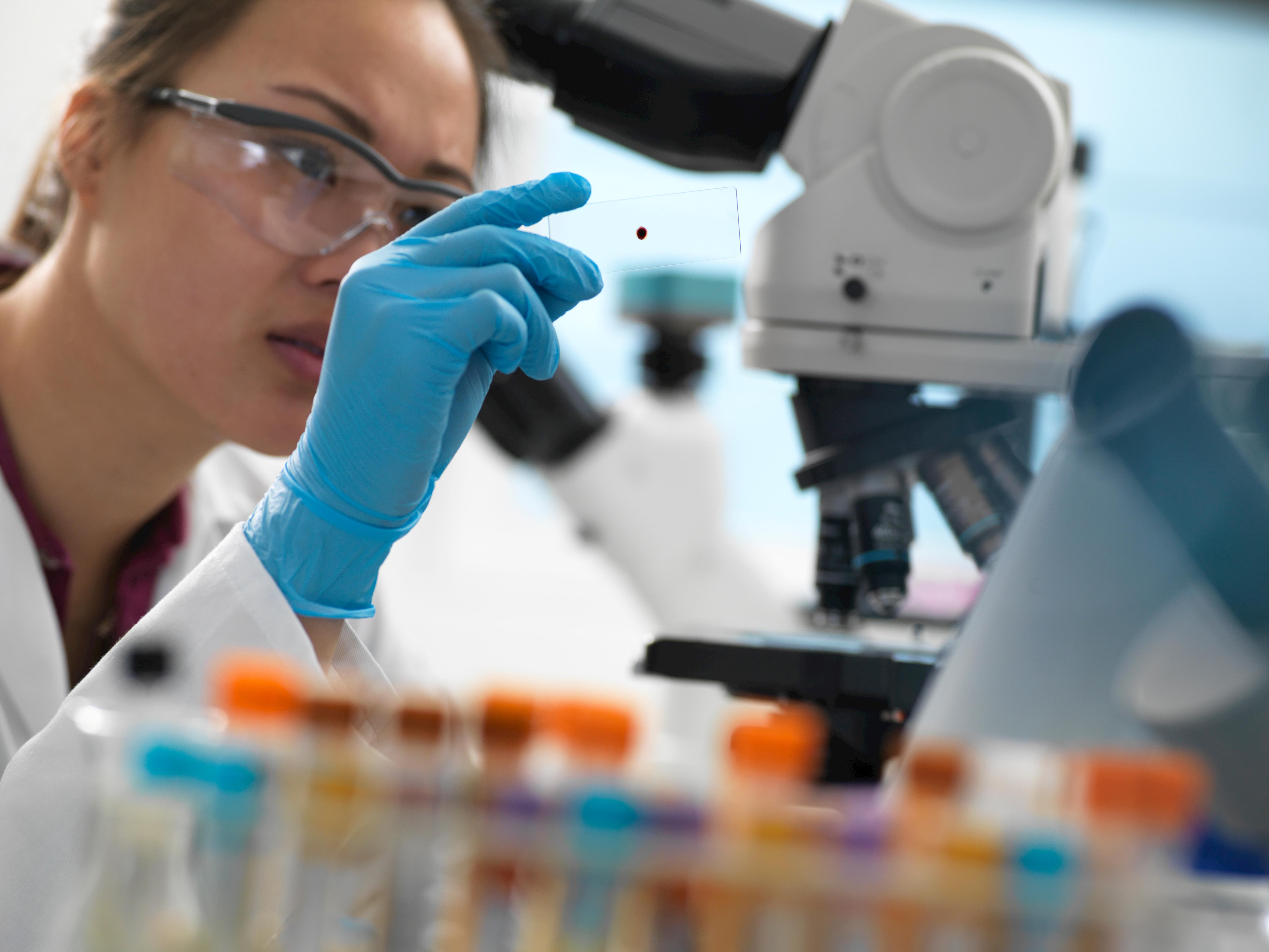  Multinazionale farmaceutica assume 10 diplomati Its a Pisa 