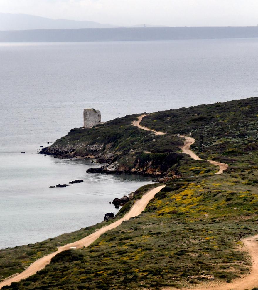 L’appello dei diportisti per le spiagge di Frasca 
