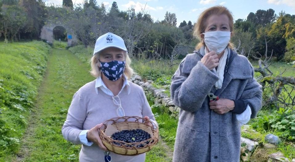 Il Wwf Sassari celebra la "Festa degli alberi"