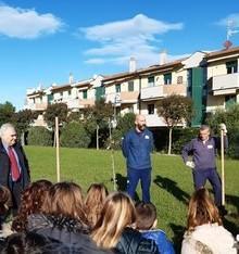 La Festa degli alberi resiste al Covid tre gli eventi previsti 