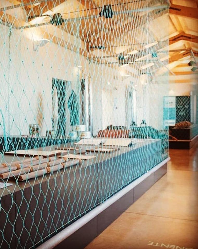 Anche il Mut si racconta sul web 