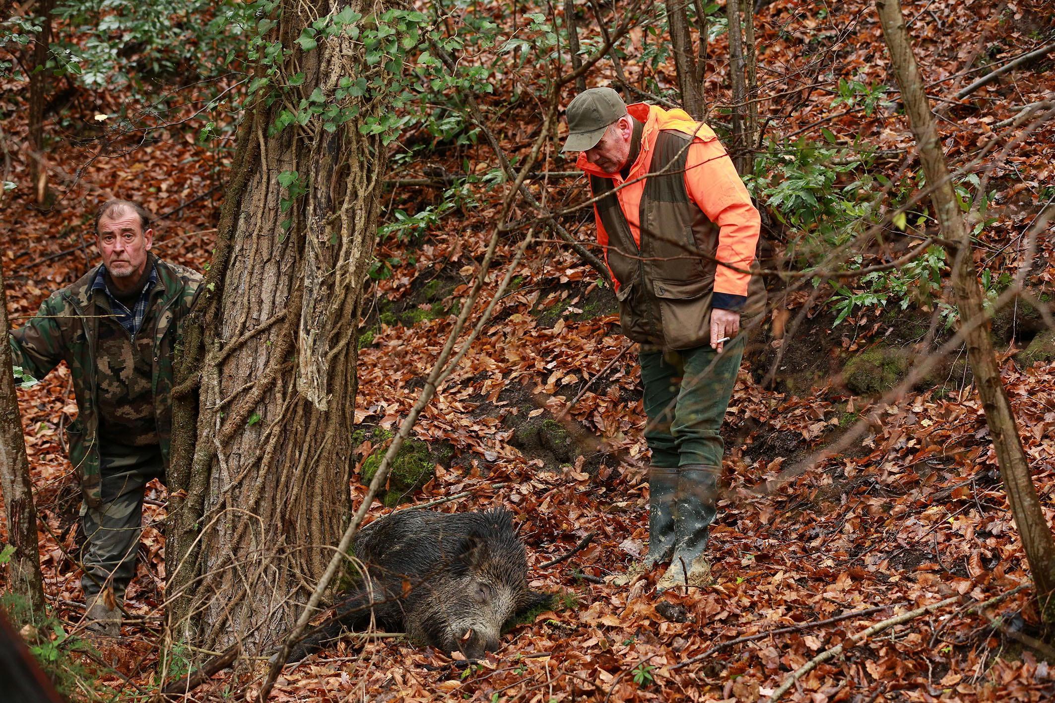 Due cacciatori impegnati in una battura di caccia al cinghiale (foto Carlo Sestini)