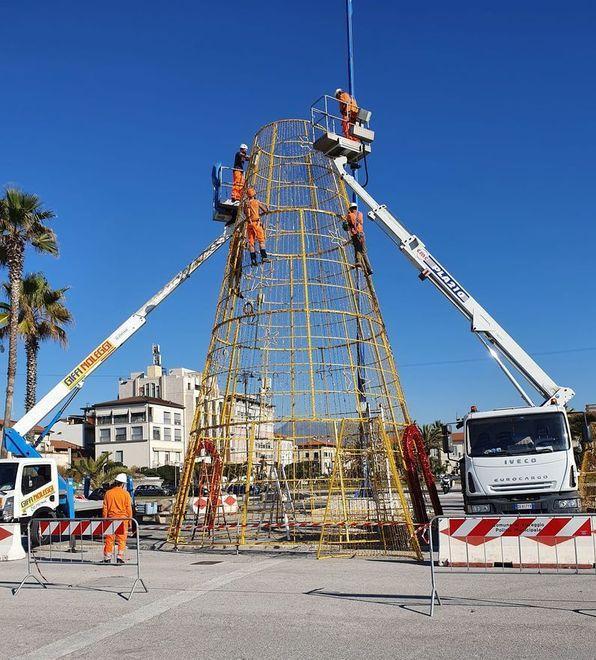 In piazza Mazzini torna l’albero di Natale di Farmaè