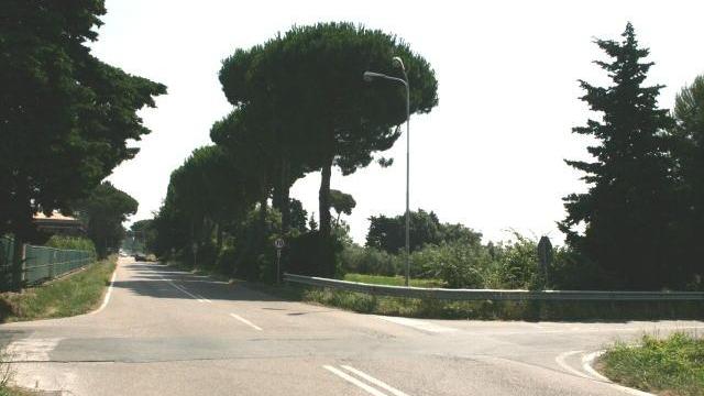 Rotatoria lungo via della Torre, l'annuncio della Provincia: «A Vada via ai lavori a inizio 2021»