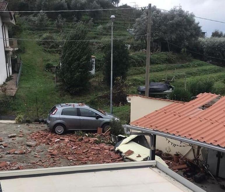 Il vento flagella la collina versiliese: raffiche a 70 km/all’ora e cadono alberi in strada 