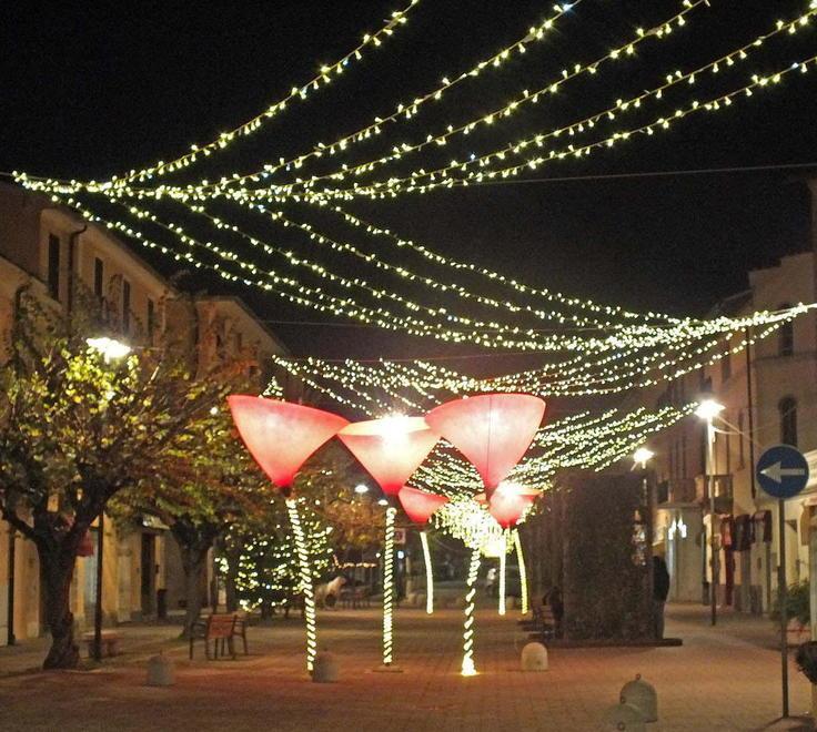 La luminaria accesa dal 4 dicembre a Venturina, Campiglia e a Cafaggio 