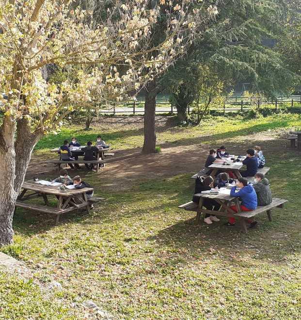 Scuola in natura le prime medie sui libri nel bosco 