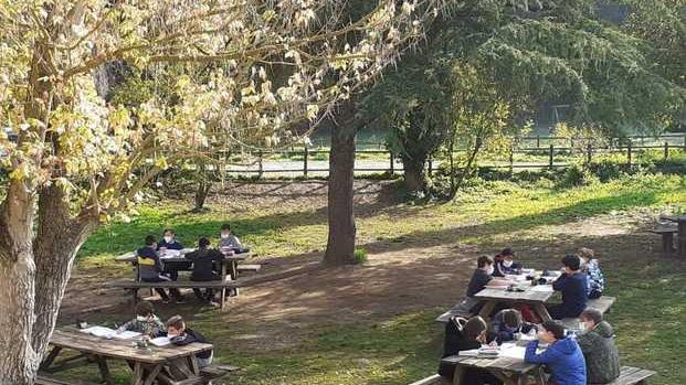 Scuola in natura le prime medie sui libri nel bosco