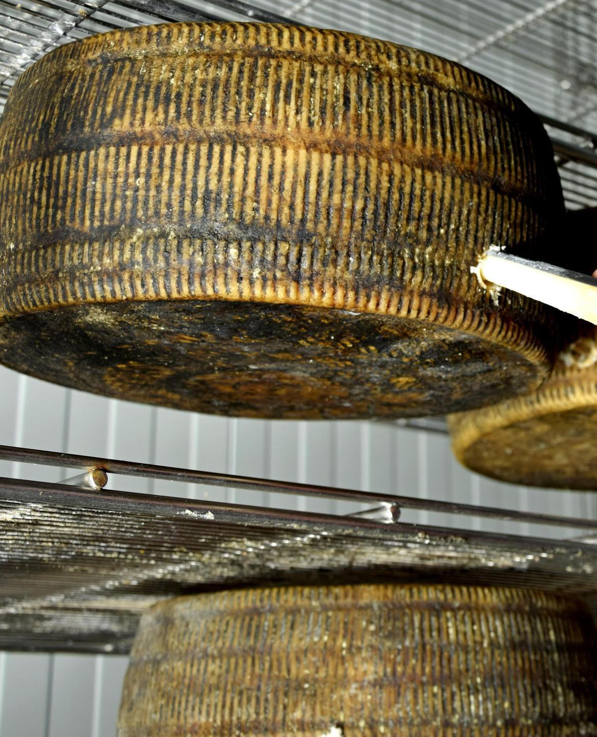 Slow food Alta Baronia, c’è anche il pecorino Mele 