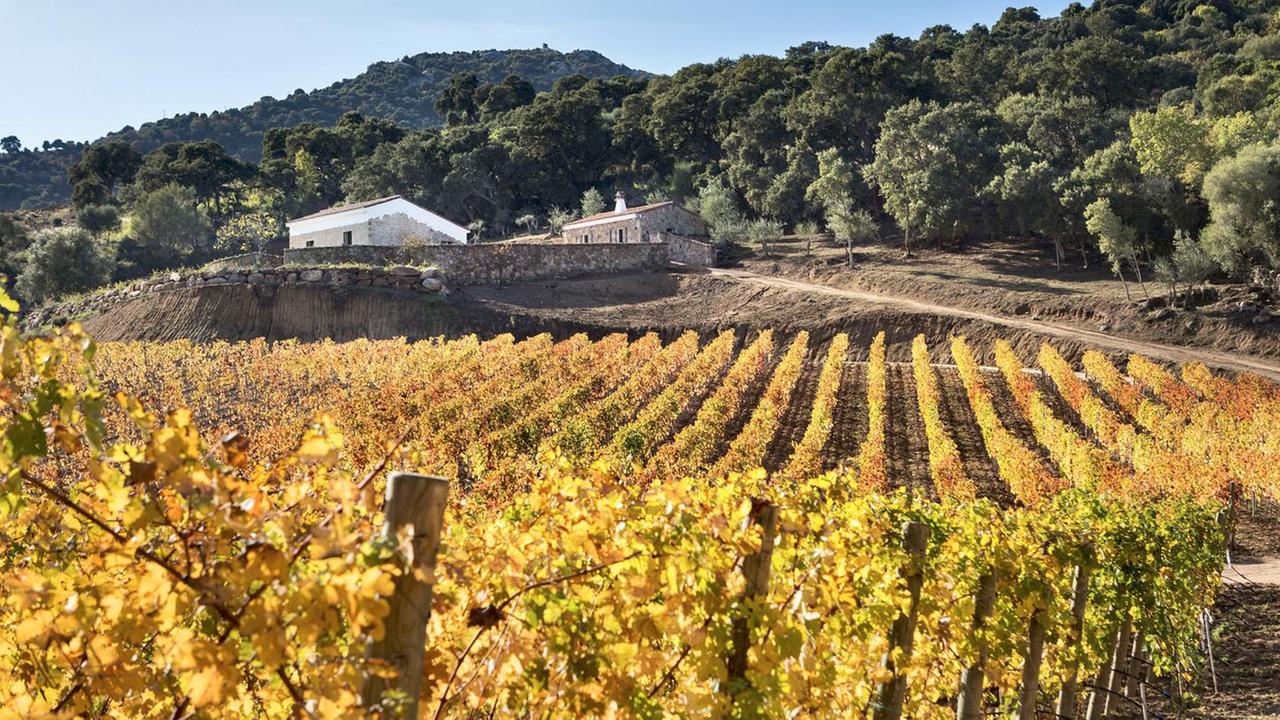 Grande ritorno per “Benvenuto Vermentino”