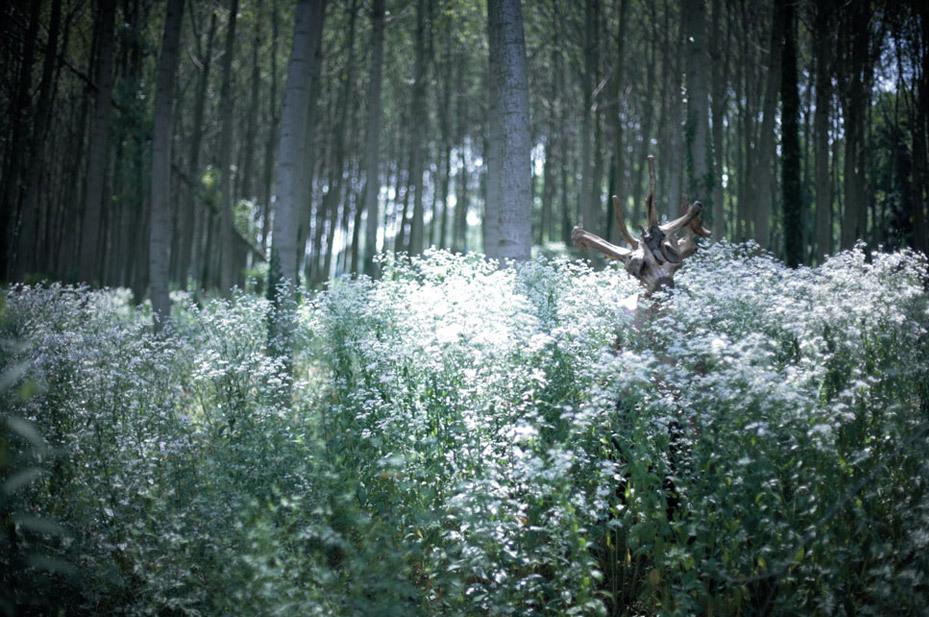 “Mediaterrae Aemilia”, una giornata dedicata all’Appennino e al rurale contemporaneo 