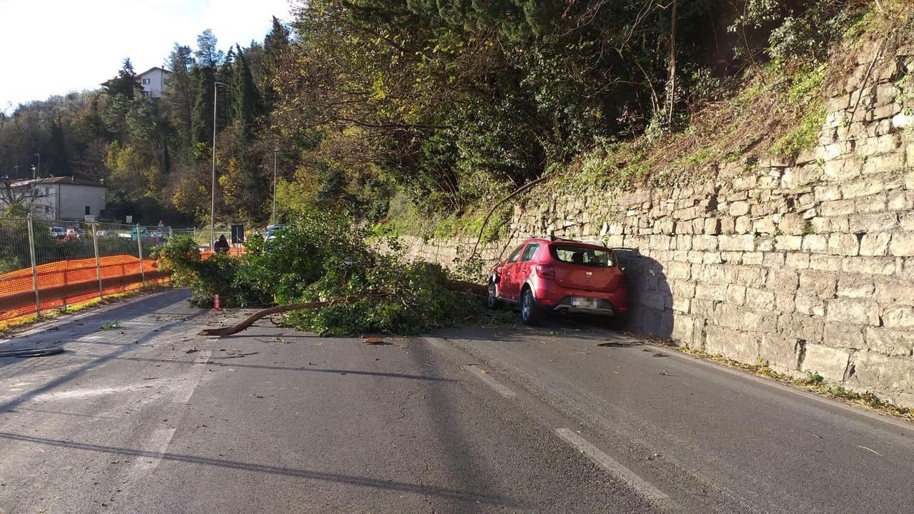 L'auto dopo essere stata colpita dall'albero caduto