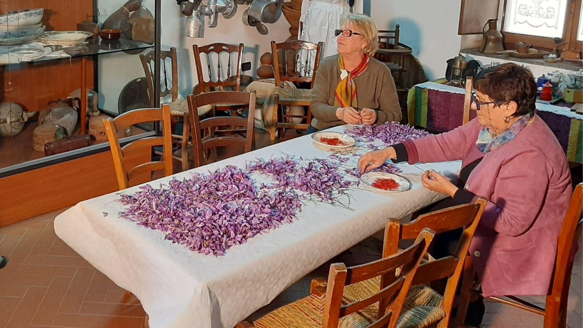 Le strade dello zafferano in un tour virtuale tra San Gavino, Turri e Villanovafranca