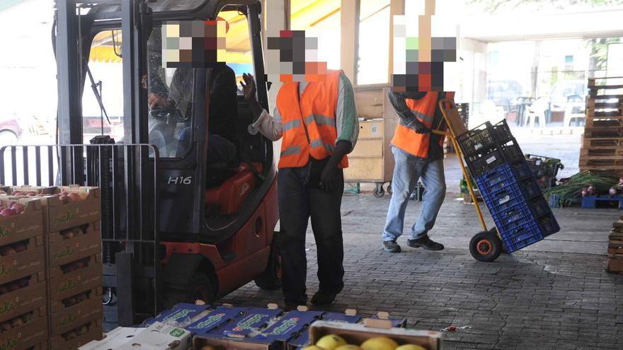 Operatori all'interno del mercato ortofrutticolo (foto d'archivio)