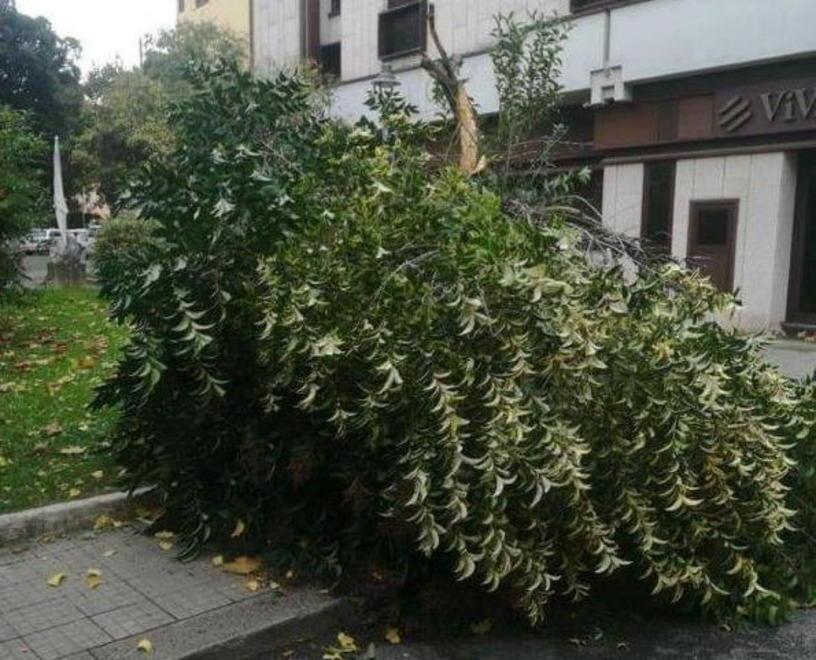 Tanti alberi caduti in mezzo alle strade e frazioni montane un giorno senza luce 
