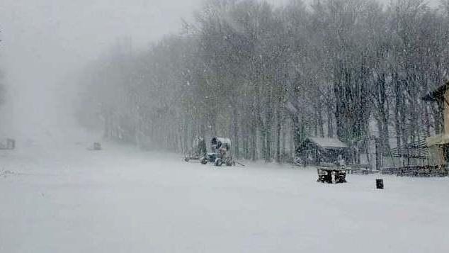 Un venerdì nella morsa del vento Neve in Amiata, raffiche sulla costa
