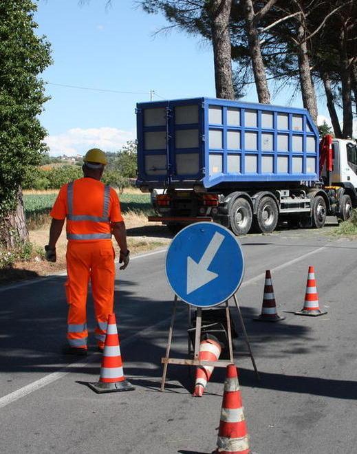 Sicurezza sulle strade «Sì all’abbattimento dei pini lungo la 429»