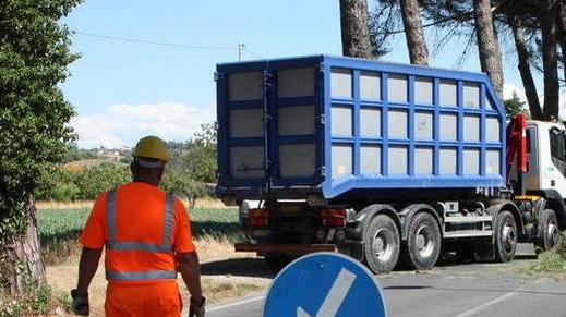 Sicurezza sulle strade «Sì all’abbattimento dei pini lungo la 429»