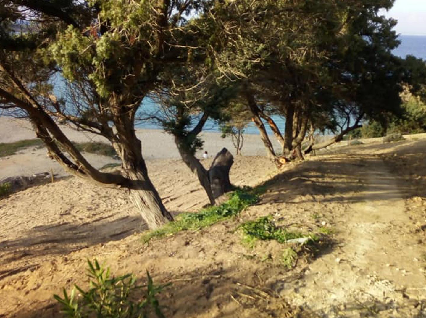 Santa Teresa, Paggiolu: «Basta con interventi che snaturano i litorali» 