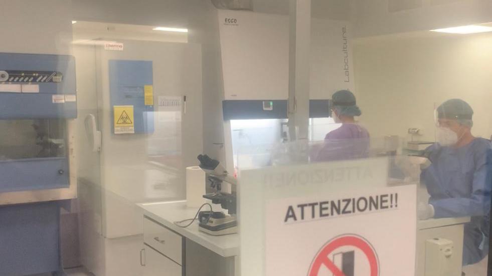 I laboratori di Porto Conte testano i farmaci anti Covid 