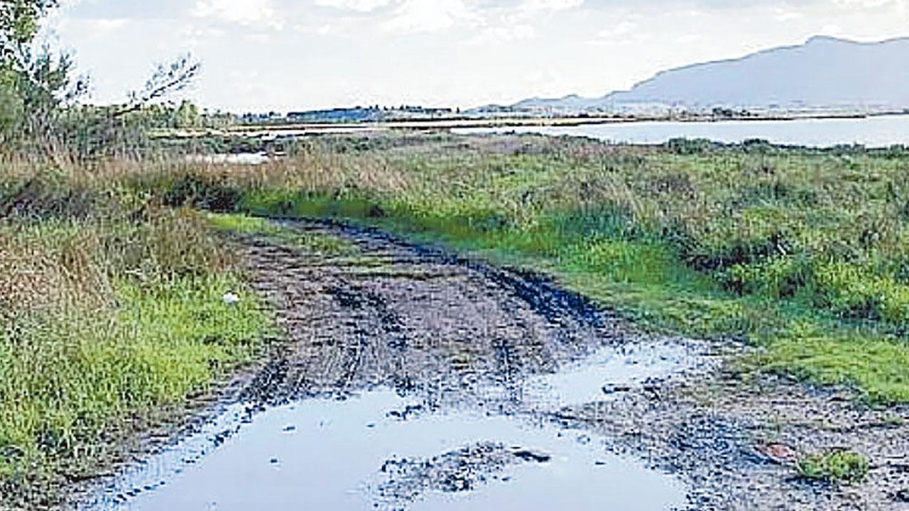 Per il giudice: stop alla caccia in laguna fino al 1º dicembre
