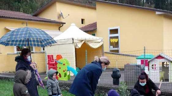 Un olivo per ogni scuola a Coreglia