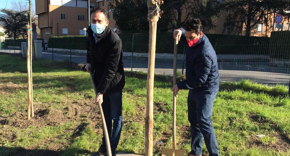 Cento alberi piantati Omaggio ai nuovi nati nel bosco urbano di via Maccatella 