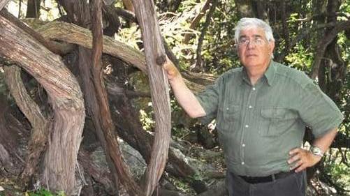 Ignazio Camarda: «Il mio ritratto in verde dei patriarchi dei boschi sardi» 