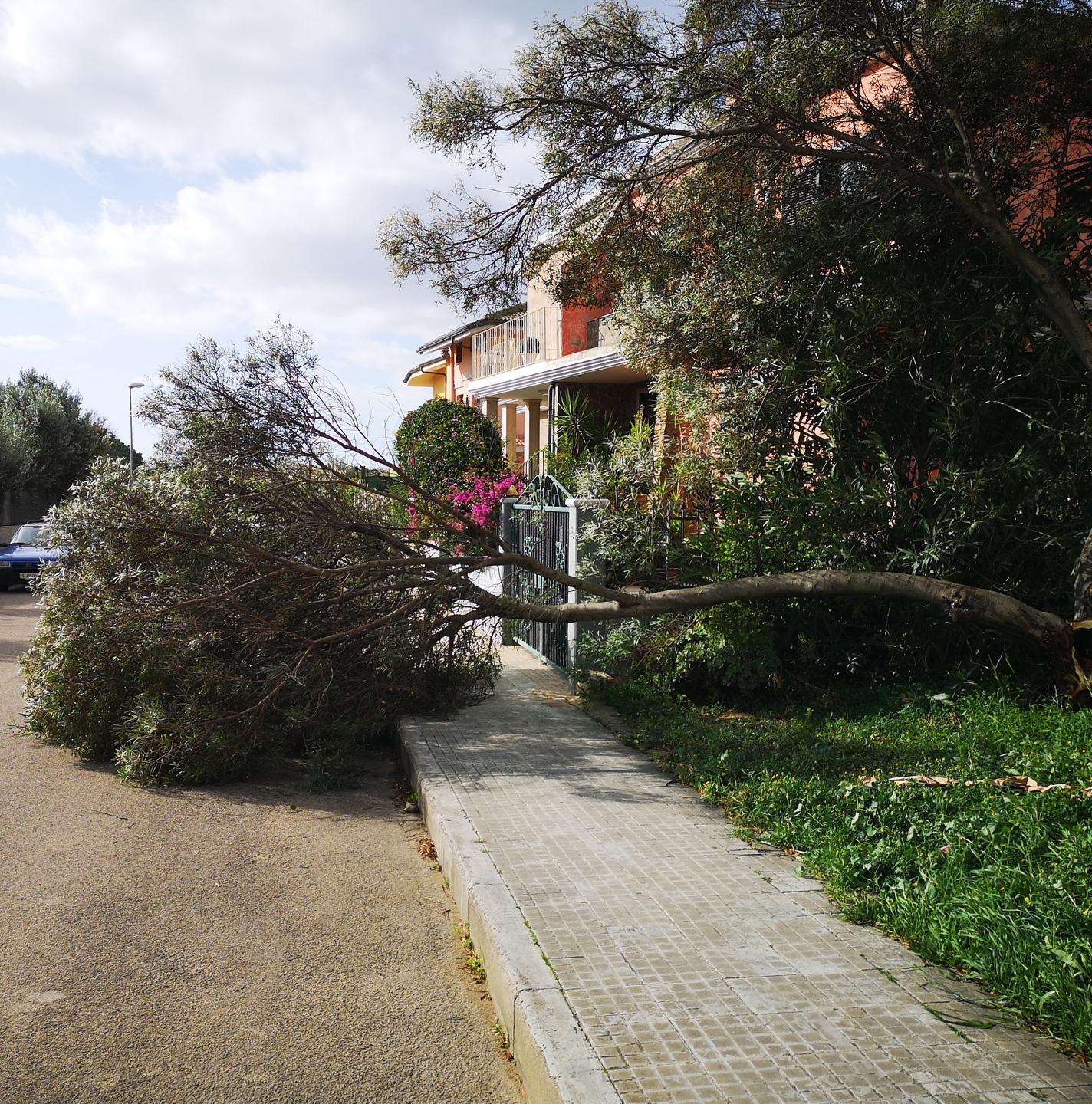 Il vento abbatte anche i semafori 