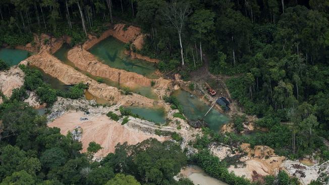Amazzonia: Bolsonaro, il mio governo protegge la foresta