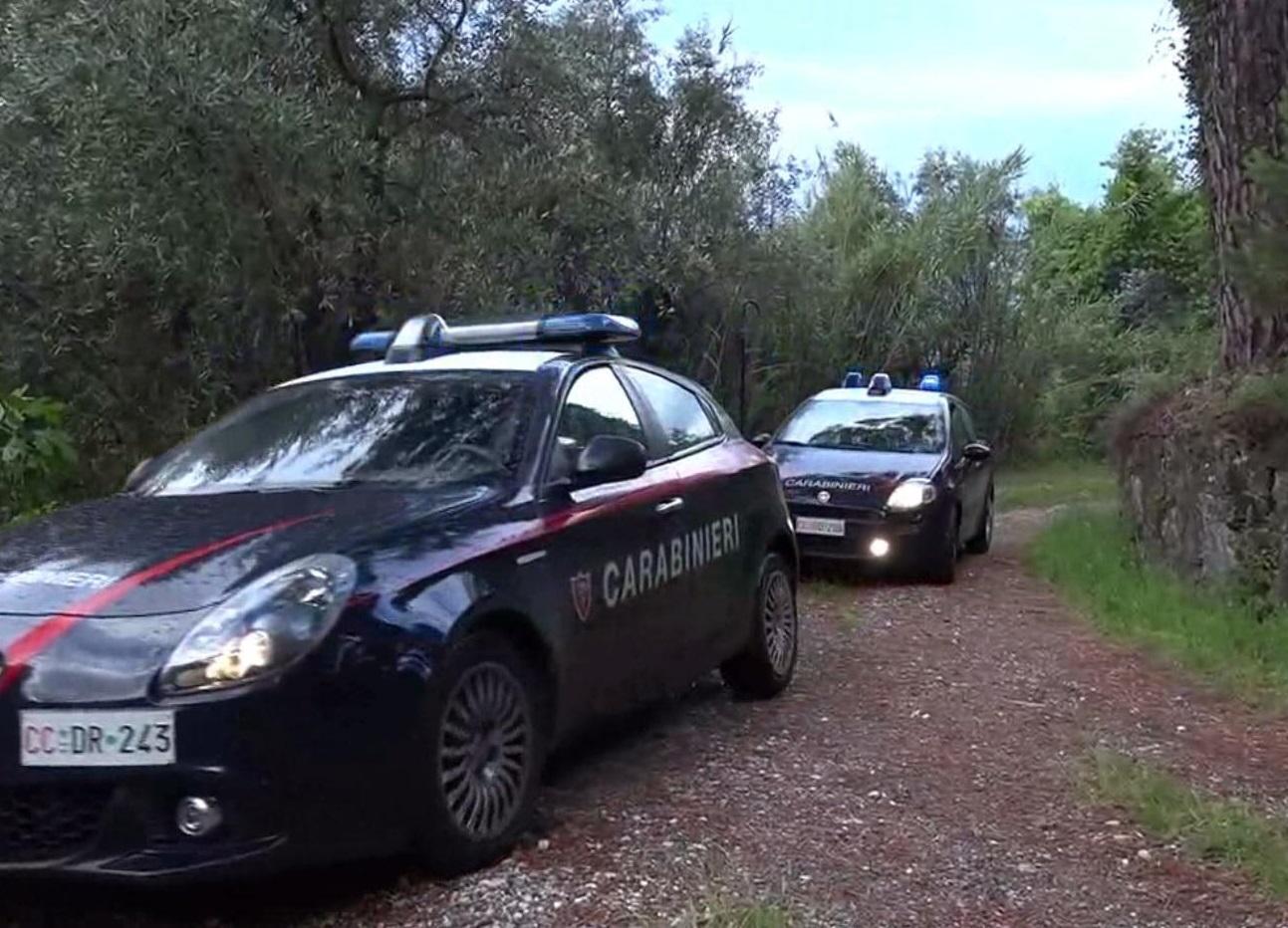 Due pattuglie dei carabinieri