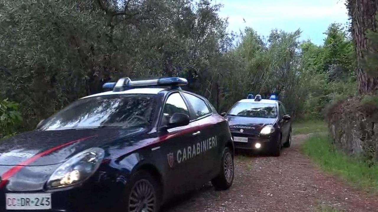 Due pattuglie dei carabinieri