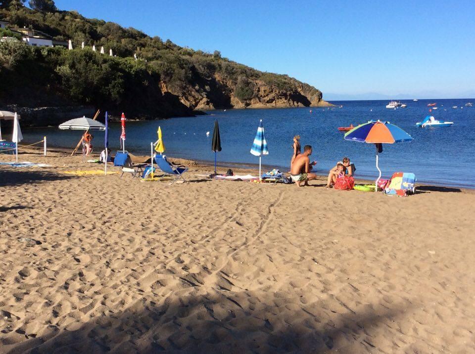 Si studiano gli effetti del dissalatore di Mola sulla fauna marina di Lido di Capoliveri