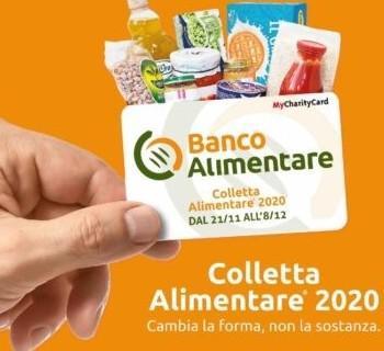 Colletta alimentare anche a Cecina, ecco dove poter dare il proprio contributo 
