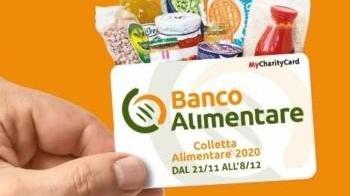 Colletta alimentare anche a Cecina, ecco dove poter dare il proprio contributo