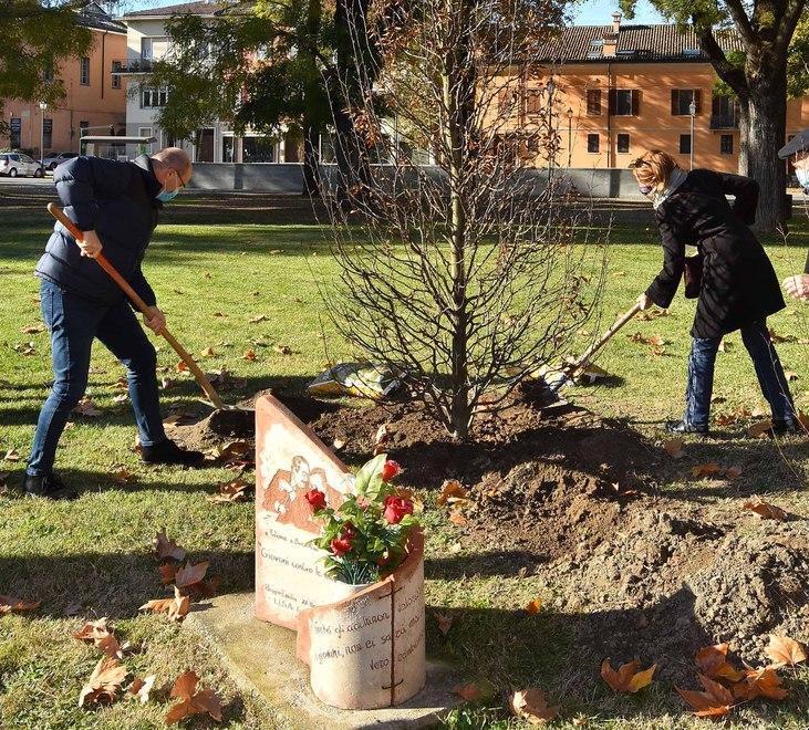 Due carpini bianchi a difesa della legalità 