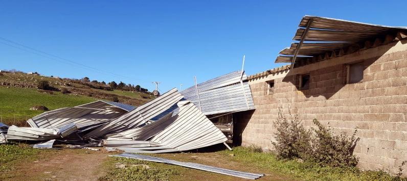 Una bufera di vento danneggia l’ippodromo e la Cooperativa