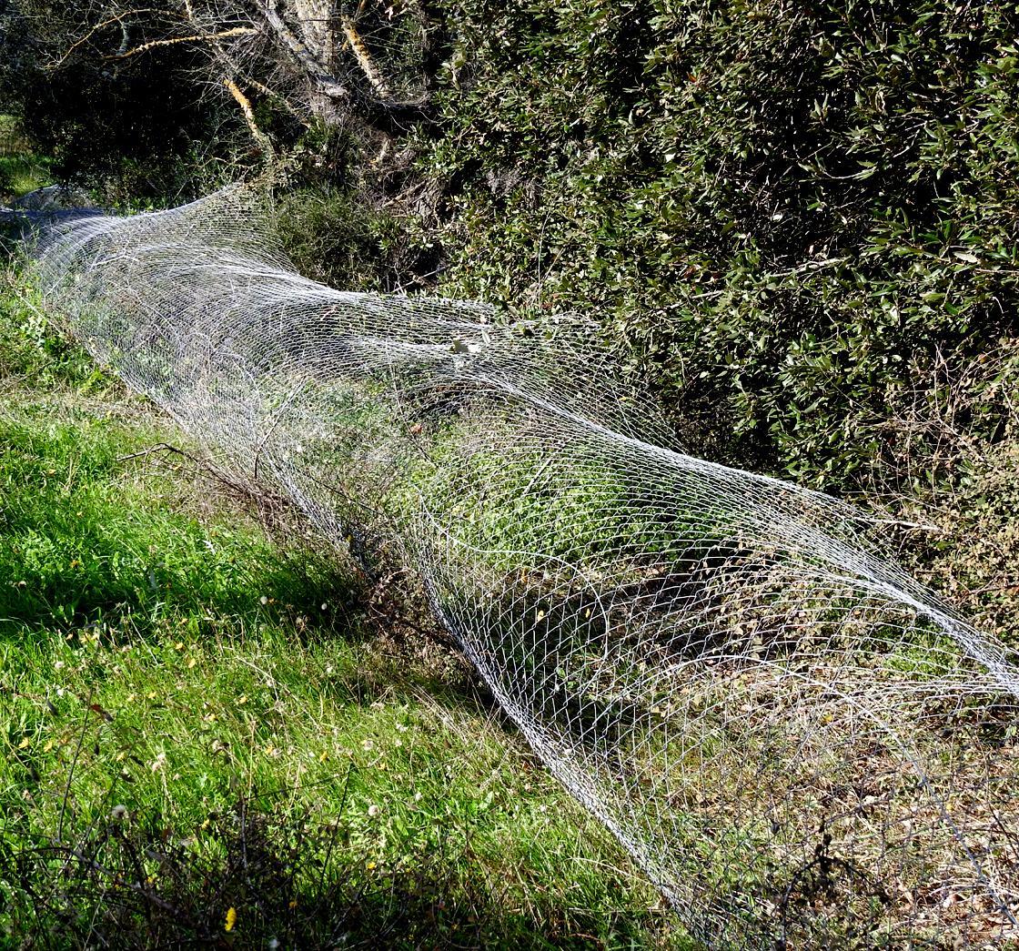 Gestione privata addio, il parco è abbandonato 