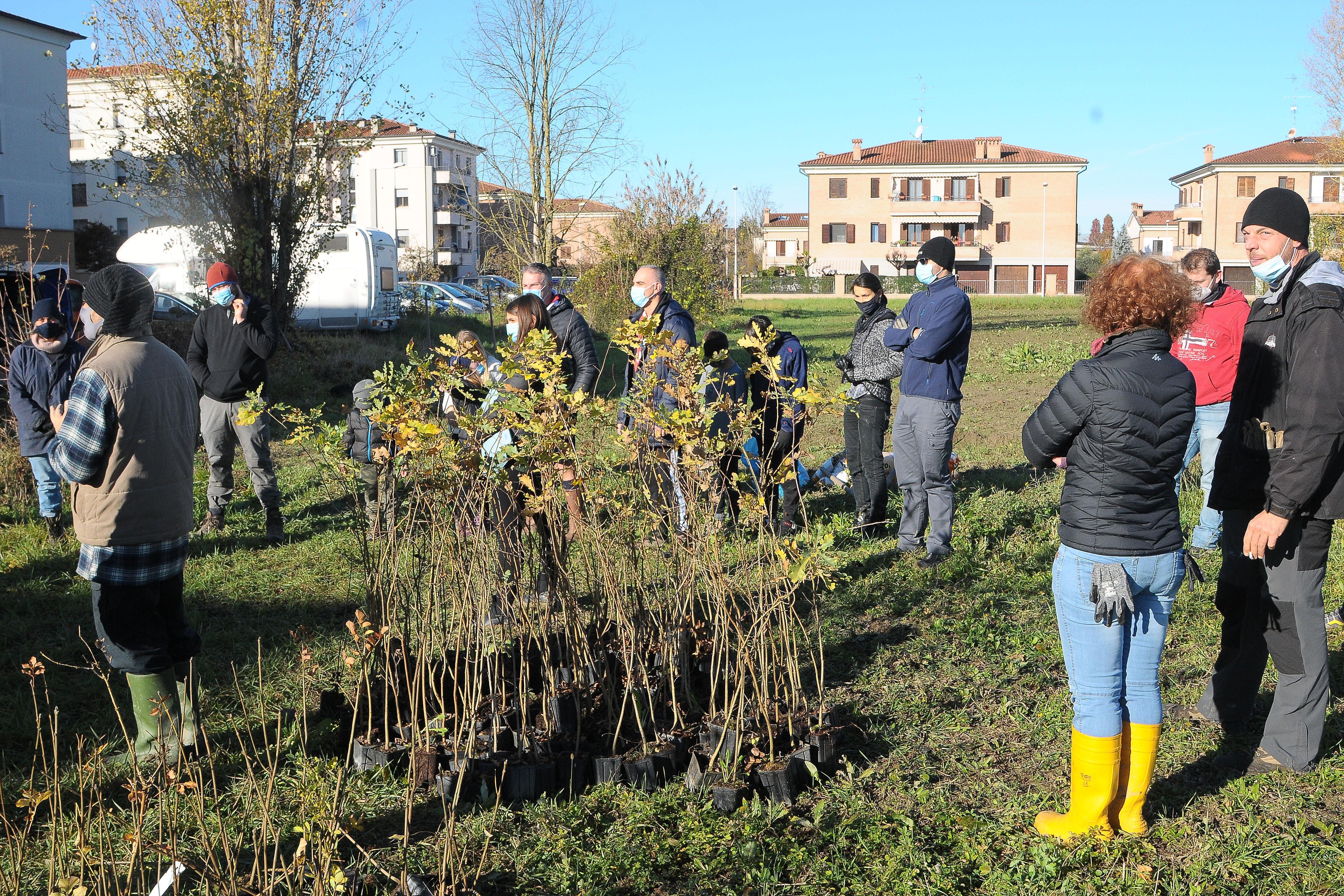 A Sorbara una vigna come ai tempi dei coloni romani e un bosco di 4 ettari