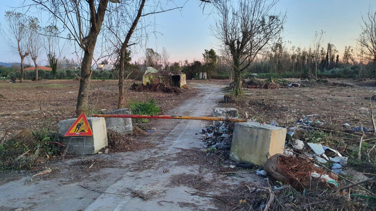 Cancellato un bosco di pioppi dove c'era il campeggio
