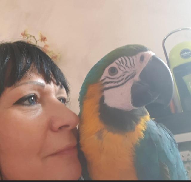 Valweria Zivieri con il suo pappagallo