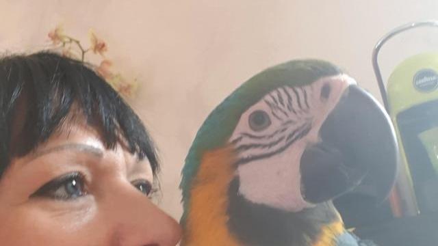 Valweria Zivieri con il suo pappagallo