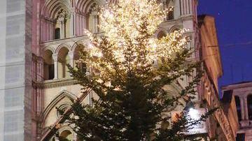 Luci e addobbi per l’Albero