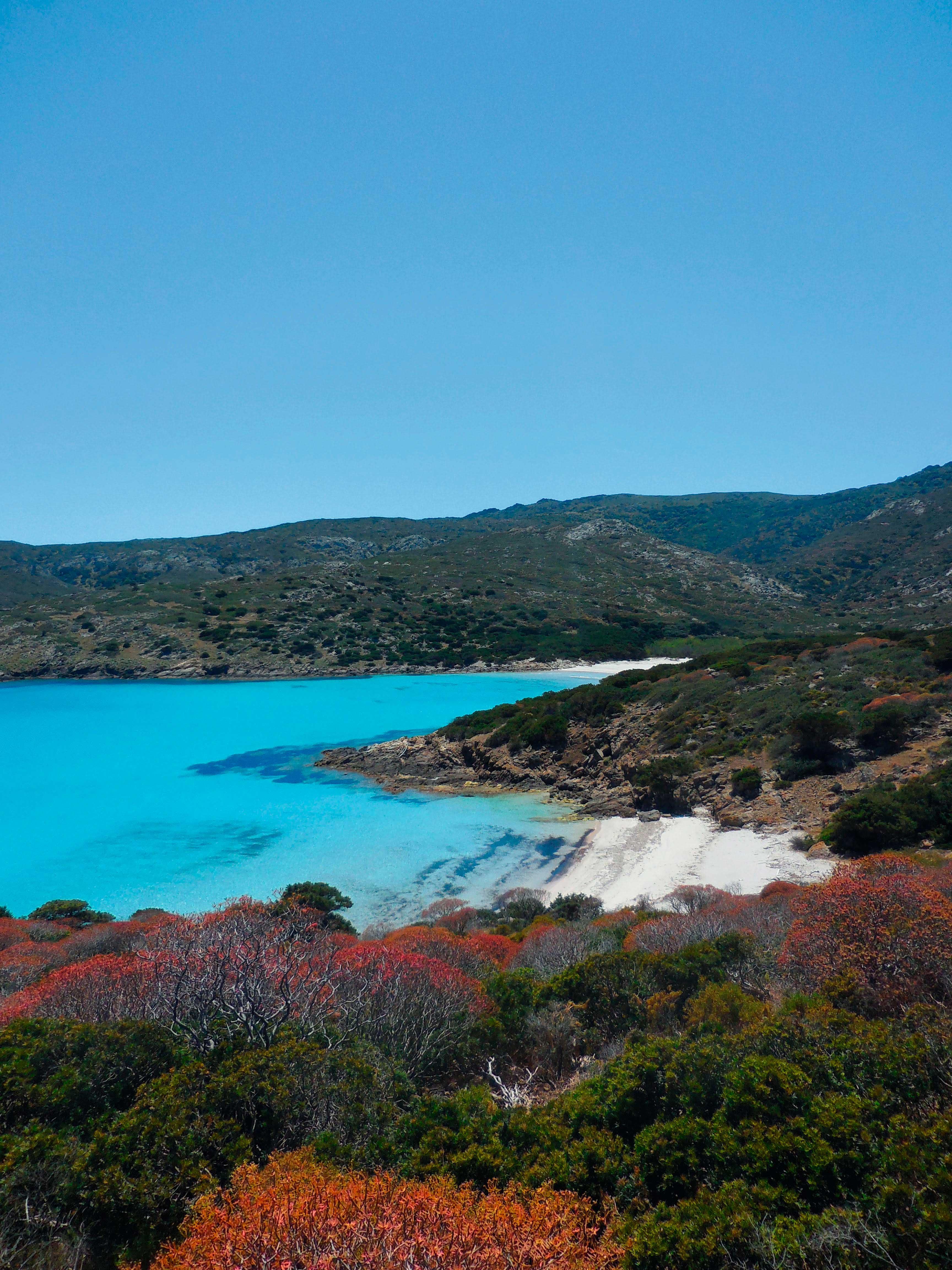 Cala d'Arena, Asinara (foto Bruno Cleriti)